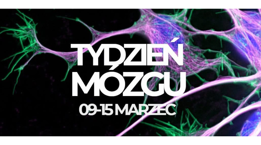 Światowy Tydzień Mózgu w Łodzi